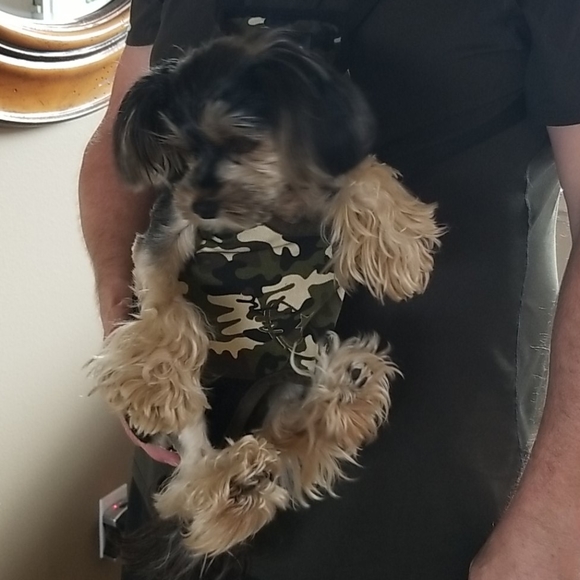 Camo Doggie puppacks 8 to 10 pound max - Picture 3 of 8